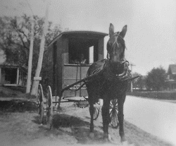 Bread Wagon Reisterstown Road